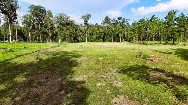 TBD Highway 146 N, Liberty, TX 77575 - photo 5