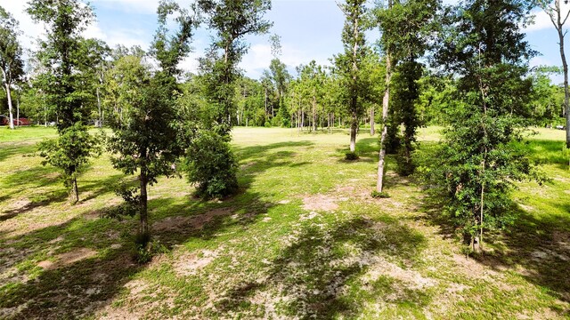 TBD Highway 146 N, Liberty, TX 77575 - photo 6