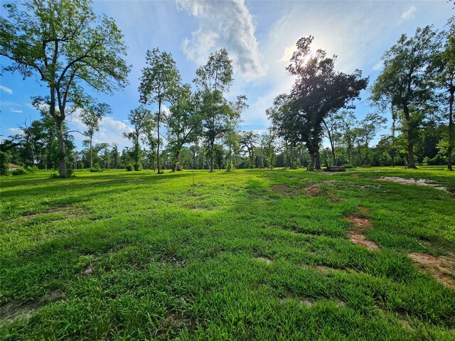 TBD Highway 146 N, Liberty, TX 77575 - photo 8
