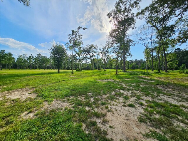 TBD Highway 146 N, Liberty, TX 77575 - photo 10