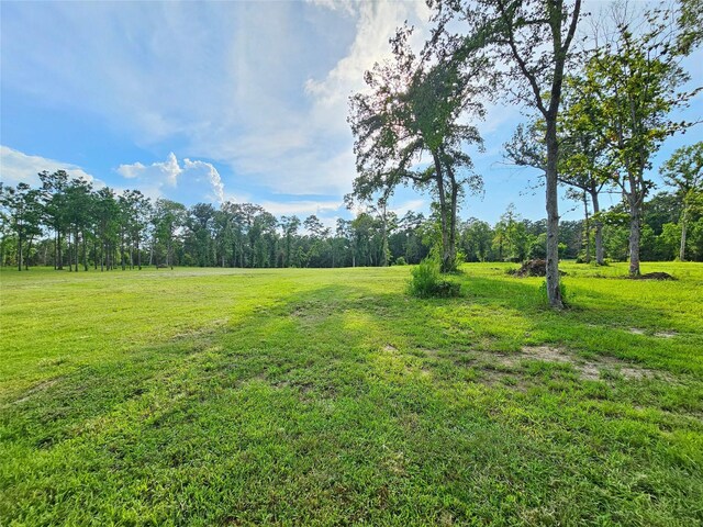 TBD Highway 146 N, Liberty, TX 77575 - photo 11