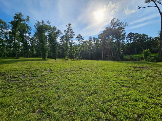 TBD Highway 146 N, Liberty, TX 77575 - photo 12