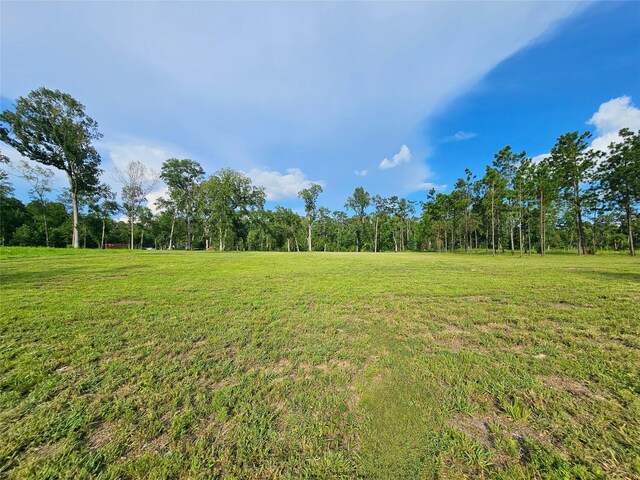 TBD Highway 146 N, Liberty, TX 77575 - photo 13