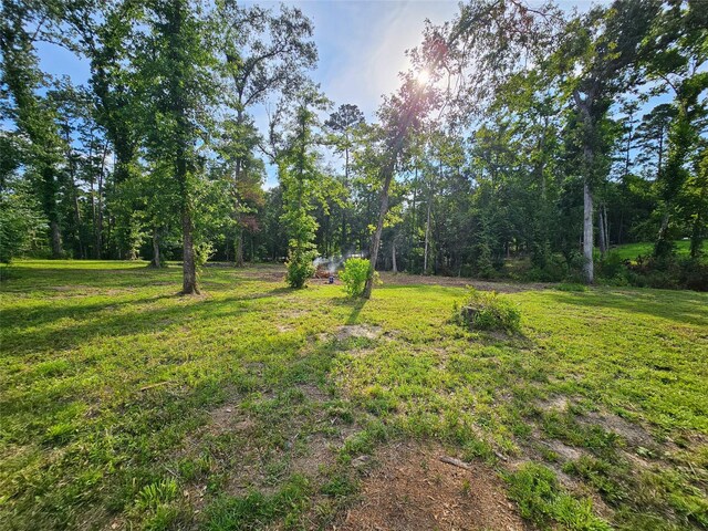 TBD Highway 146 N, Liberty, TX 77575 - photo 14