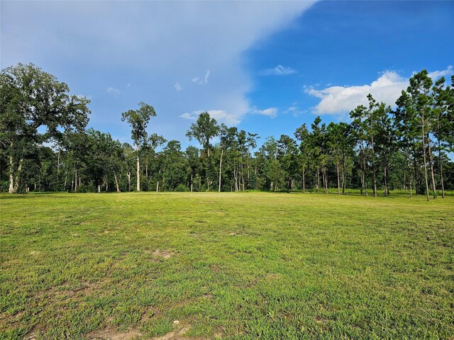 TBD Highway 146 N, Liberty, TX 77575 - photo 15