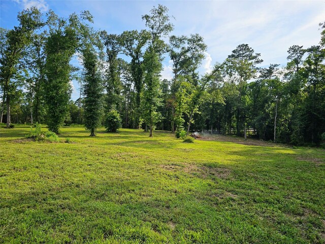 TBD Highway 146 N, Liberty, TX 77575 - photo 16