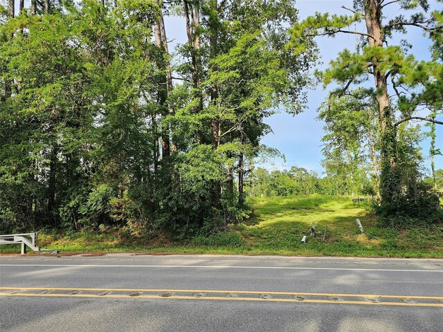 TBD Highway 146 N, Liberty, TX 77575 - photo 17