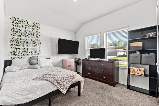 20214 Portbec Dr, New Caney, TX 77357 - carpeted bedroom featuring vaulted ceiling