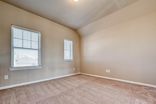 258 Blossom Terrace Ln, Rosenberg, TX 77469 - photo 39