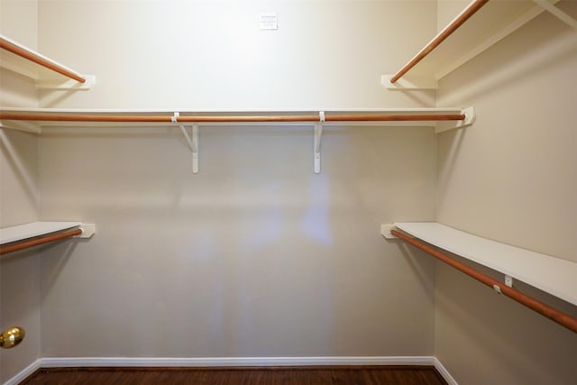 105 N Hollylaurel Cir, The Woodlands, TX 77382 - spacious closet with dark wood-type flooring