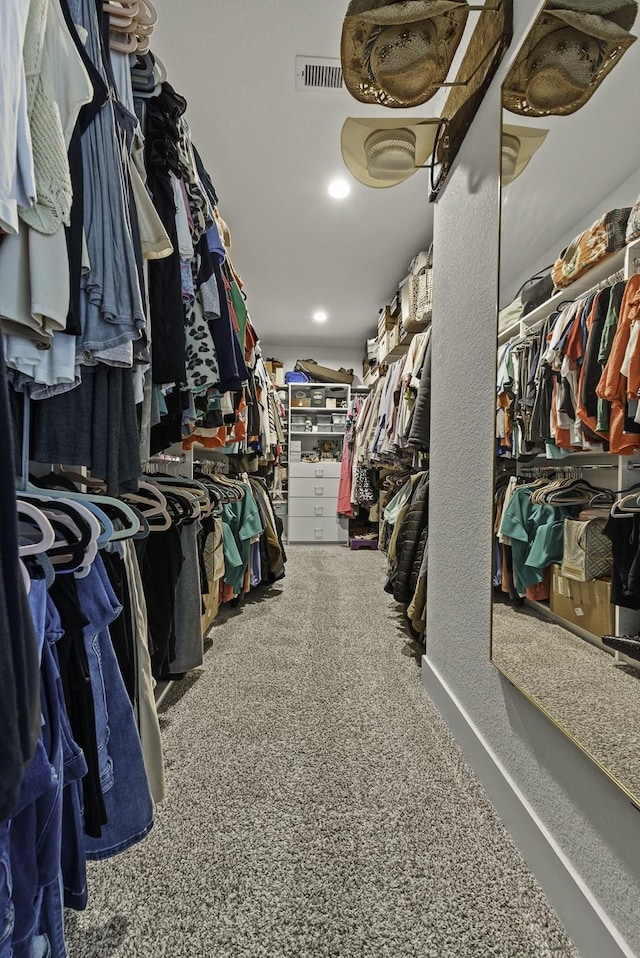 10009 Gray Jay Ct, Conroe, TX 77384 - spacious closet with carpet