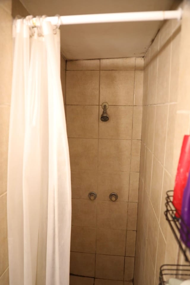 622 S Hackberry St, San Antonio, TX 78203 - bathroom featuring tiled shower