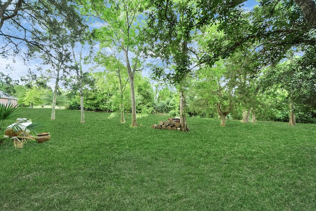 5874 Natchez Trce, Baytown, TX 77523 - view of green lawn