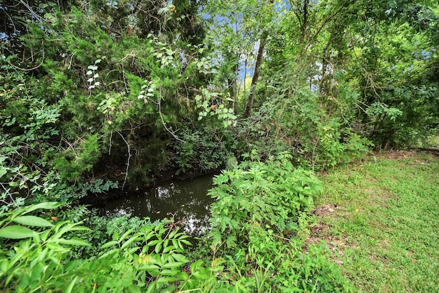 5874 Natchez Trce, Baytown, TX 77523 - view of local wilderness