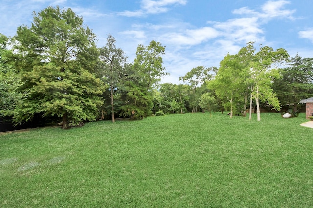 5874 Natchez Trce, Baytown, TX 77523 - view of green lawn