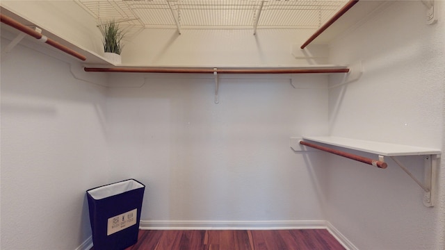 19943 Silver Rock Dr, Katy, TX 77449 - walk in closet with dark wood-type flooring