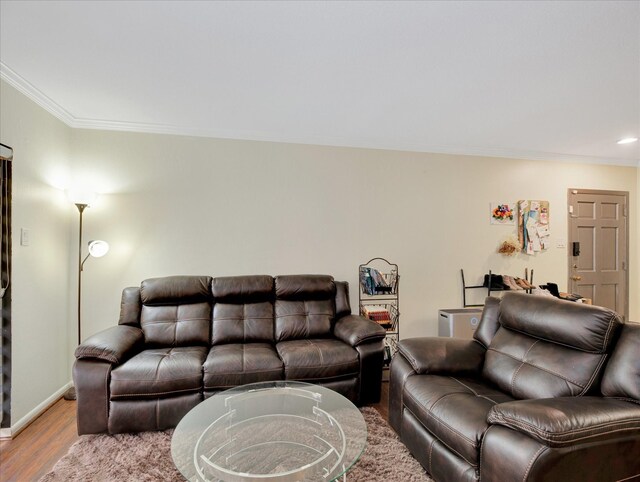 2230 S Piney Point Rd Unit 125, Houston, TX 77063 - living area featuring ornamental molding, wood finished floors, and recessed lighting