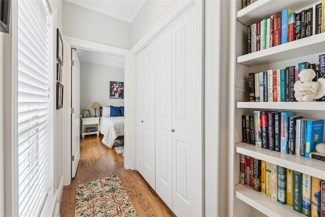 234 Knox St, Houston, TX 77007 - hall featuring wood finished floors and healthy amount of natural light