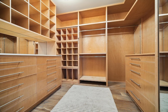 2019 Du Barry Ln, Houston, TX 77018 - walk in closet with wood finished floors