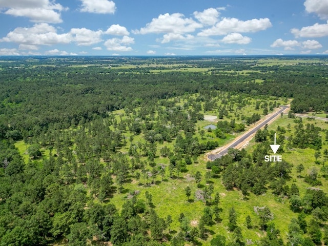 31862 Boone Rd, Waller, TX 77484 - photo 1
