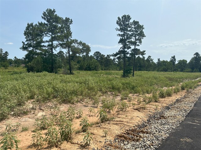 31862 Boone Rd, Waller, TX 77484 - photo 6
