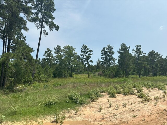 31862 Boone Rd, Waller, TX 77484 - photo 11