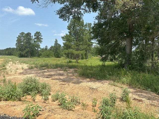 31862 Boone Rd, Waller, TX 77484 - photo 16