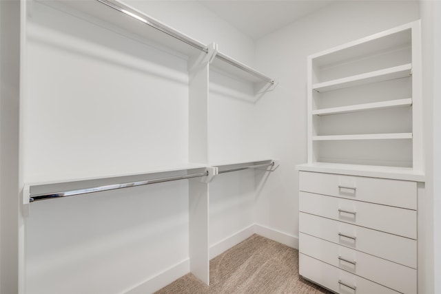 1937 W Clay St, Houston, TX 77019 - walk in closet with light carpet