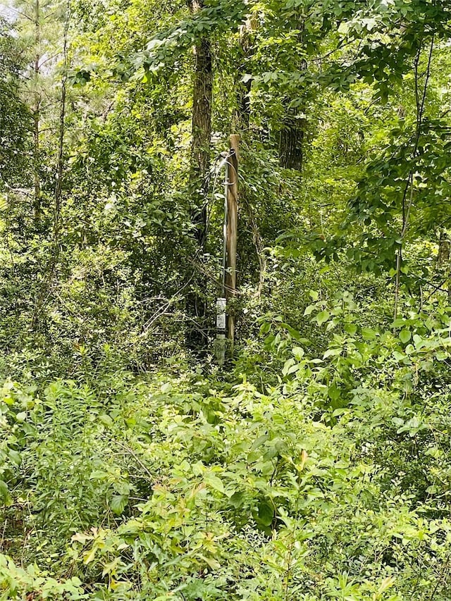 LOT25 Wood Hvn, Livingston, TX 77351 - photo 2