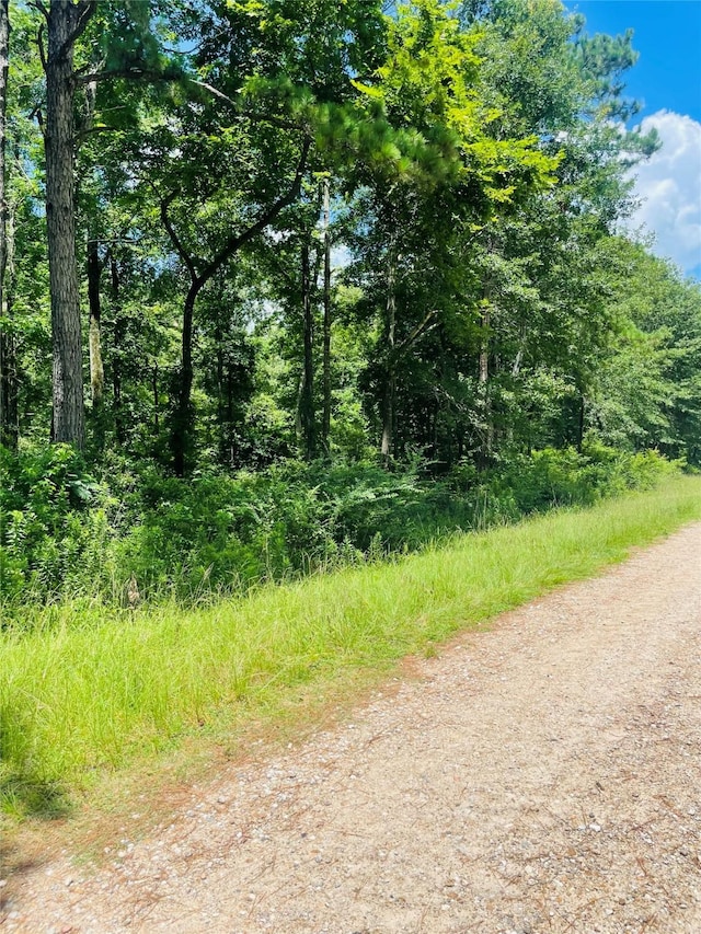 LOT25 Wood Hvn, Livingston, TX 77351 - photo 6