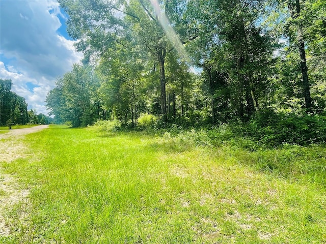 LOT25 Wood Hvn, Livingston, TX 77351 - photo 1
