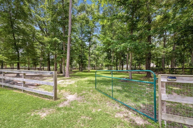 9124 Sierra Del Carmen, Conroe, TX 77303 - photo 34