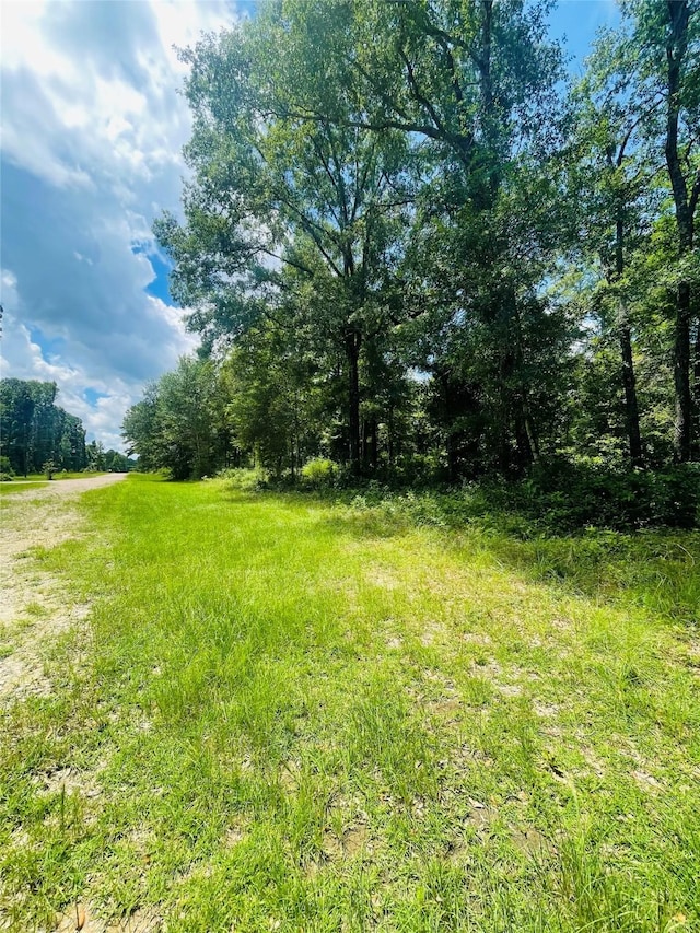 883 Wood Hvn, Livingston, TX 77351 - photo 1