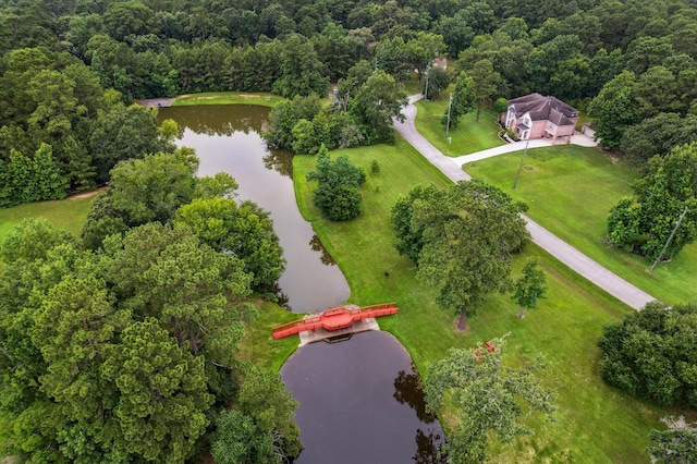 14610 Majestic Oaks, Magnolia, TX 77354 - aerial view of a large body of water and a heavily wooded area