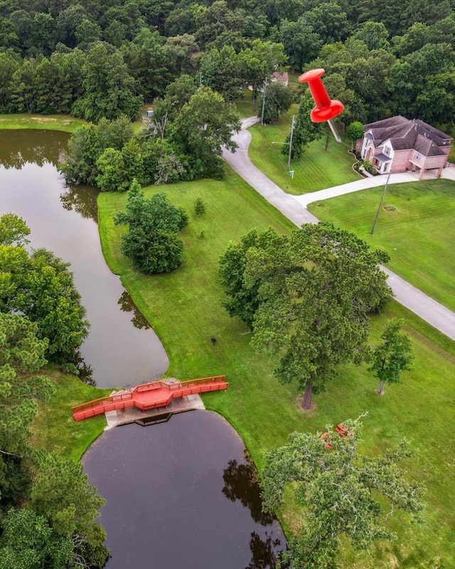 14610 Majestic Oaks, Magnolia, TX 77354 - aerial view of a nearby body of water and a forest
