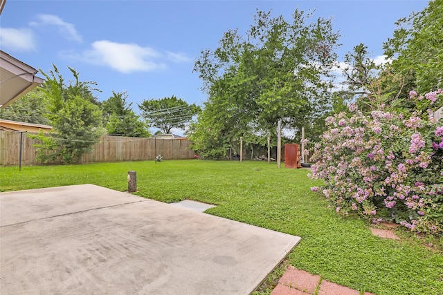 1407 Craig Dr, Galena Park, TX 77547 - fenced backyard featuring a patio area