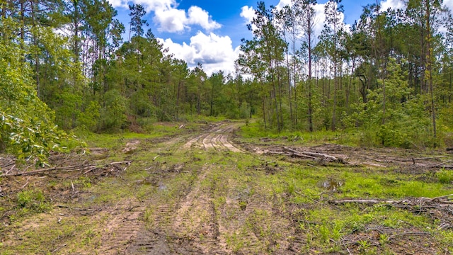 TBDLOT001 Holland Rd, Moscow, TX 75960