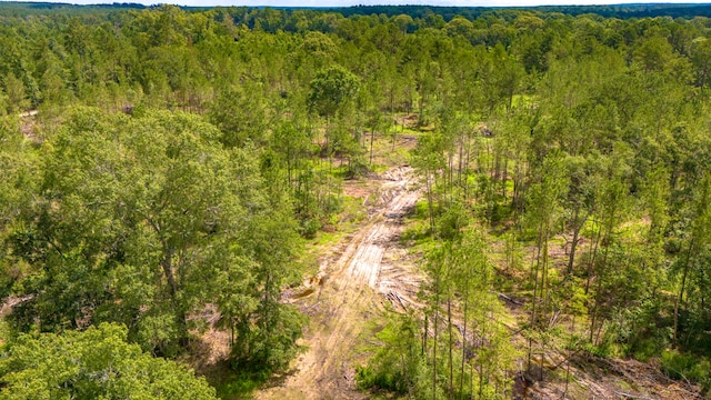 TBDLOT001 Holland Rd, Moscow, TX 75960