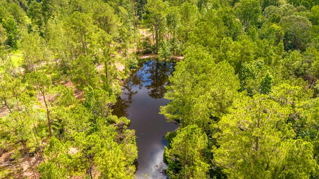 TBDLOT001 Holland Rd, Moscow, TX 75960