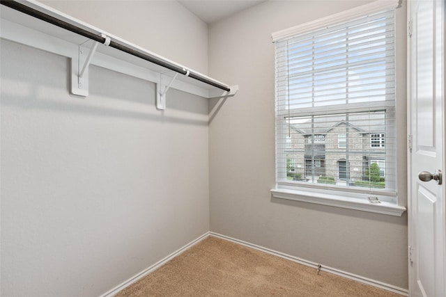 15806 Perthshire Creek Dr, Humble, TX 77346 - photo 8