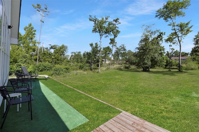 310 Mulberry Cv, Onalaska, TX 77360 - photo 5