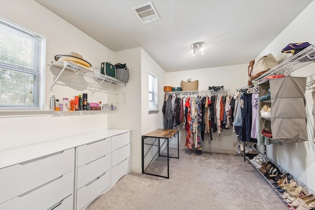 4206 Brazos Bend Dr, Pearland, TX 77584 - spacious closet featuring light carpet