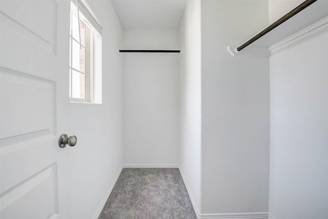 22351 Auburn Cabin Ln, Porter, TX 77365 - spacious closet with carpet flooring
