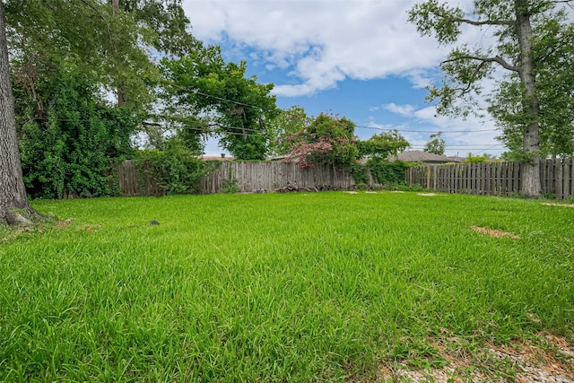 13351 Oak Leaf Ln, Houston, TX 77015 - view of yard