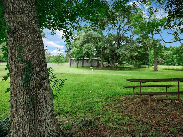 413 Christensen Rd, Hankamer, TX 77560 - view of yard with view of wooded area