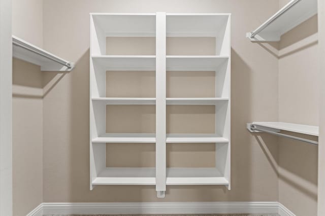 13207 Parkway Meadows Dr, Houston, TX 77077 - view of walk in closet