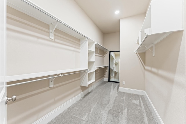 13207 Parkway Meadows Dr, Houston, TX 77077 - walk in closet with light colored carpet