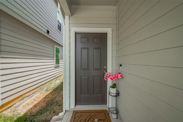24507 Porta Borsari Dr, Katy, TX 77493 - photo 4