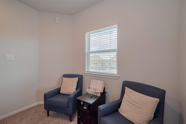 24507 Porta Borsari Dr, Katy, TX 77493 - photo 29