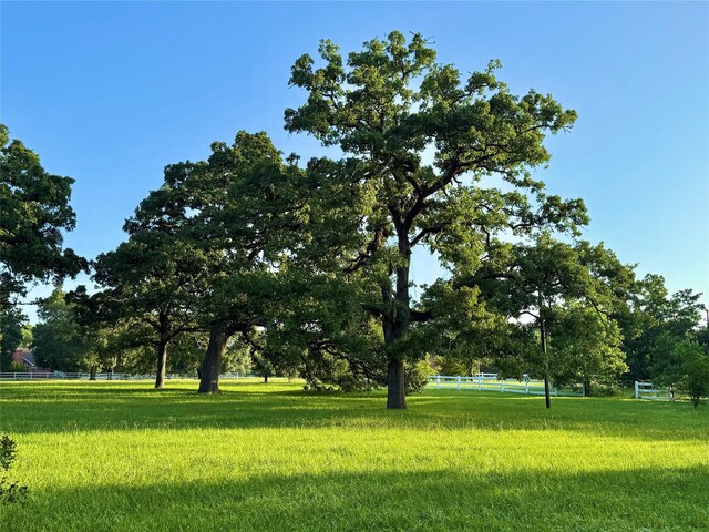 15203 Wildwood Cir, Magnolia, TX 77354 - view of community featuring a yard
